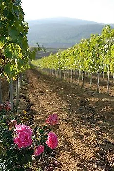 Fattoria Agriturismo Il Colombaio 2*